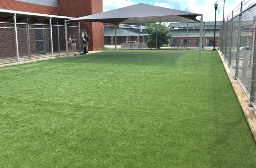 A lush, green lawn featuring Ultimate Turf's low-maintenance turf in Forsyth County, NC, showcasing its year-round beauty.